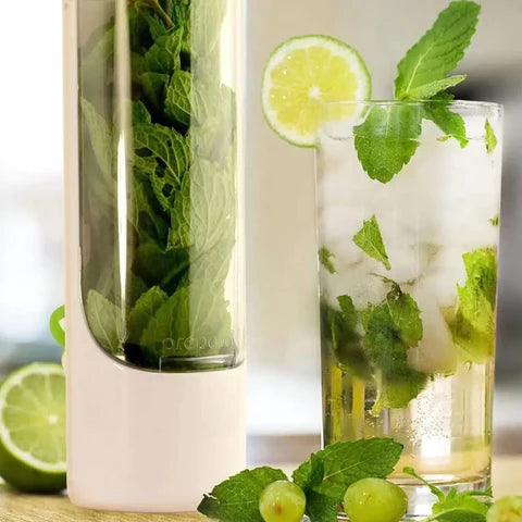 HerbGuard™ Herb Freshness Keeper