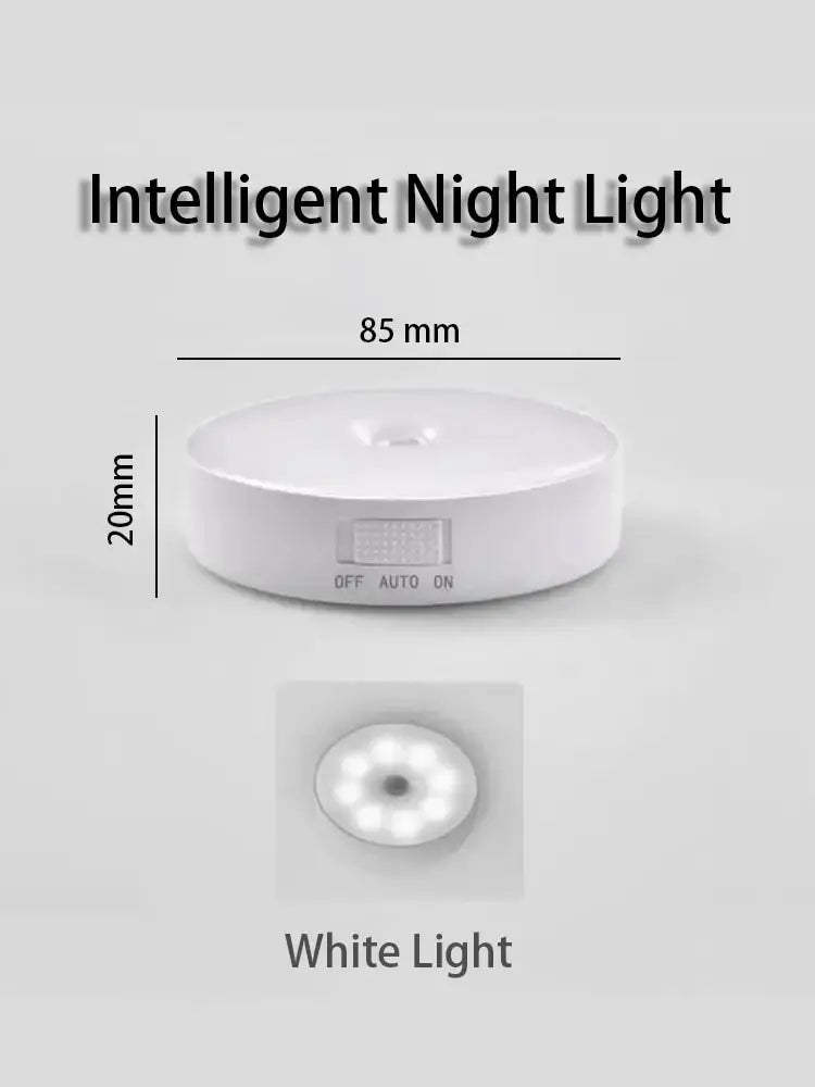 Motion Sensor Light