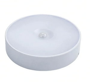 Motion Sensor Light