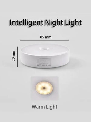 Motion Sensor Light