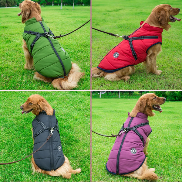 Waterproof Winter Jacket with Built-in Harness