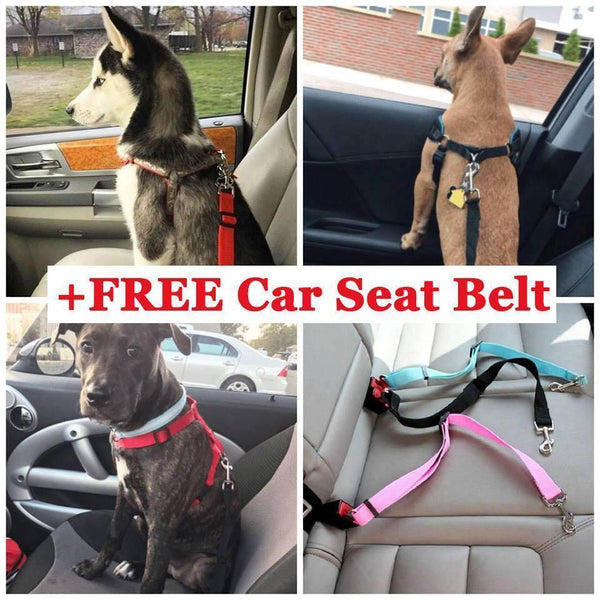 Waterproof Dog Hammock Car Seat Cover + Free Seat Belt